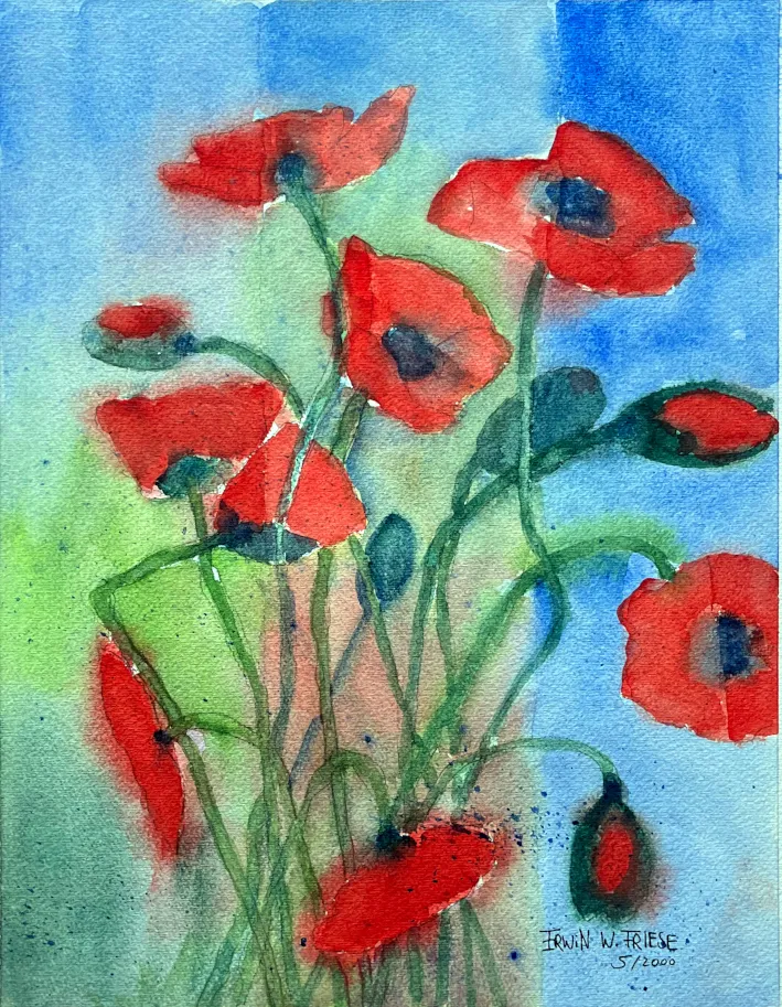 Bild 7