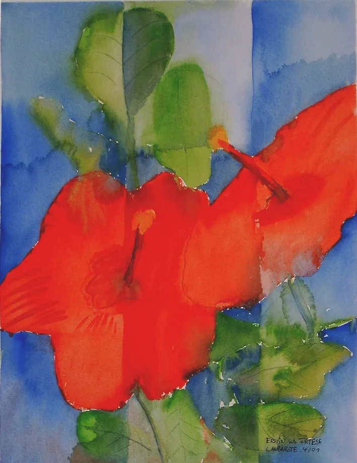 Bild 7