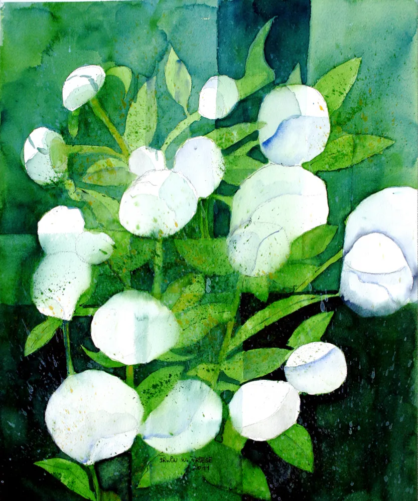 Bild 9