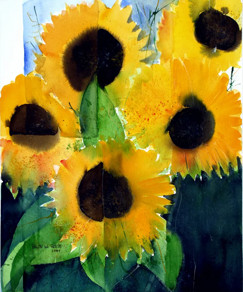 Bild 11
