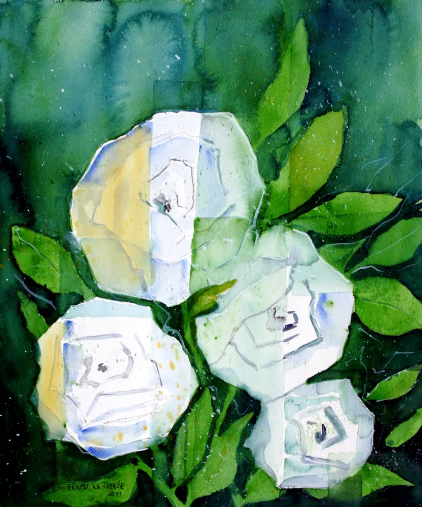 Bild 15