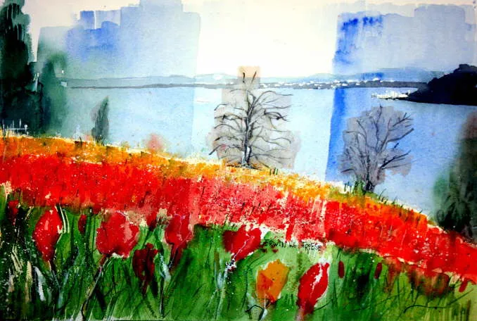 Bild 5