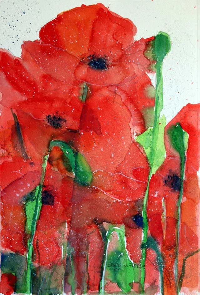 Bild 13