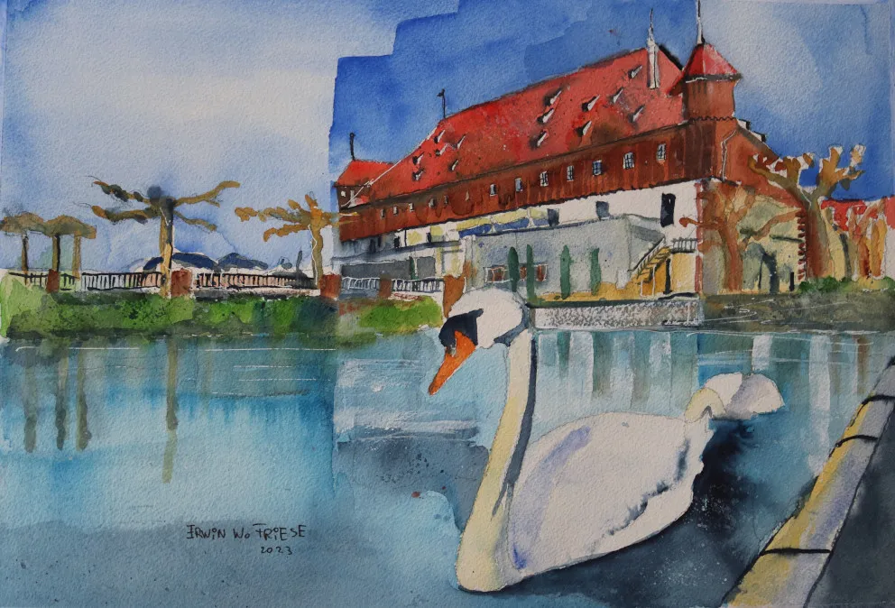 Bild 5